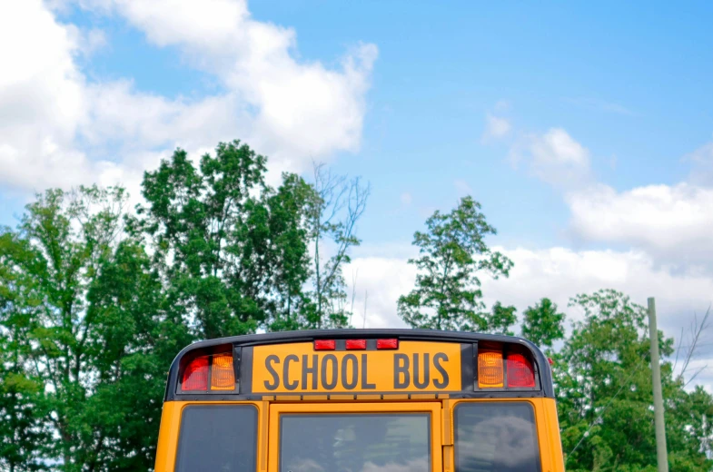 a school bus with trees in the background