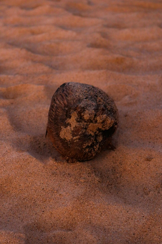 a stone sitting in the middle of the desert