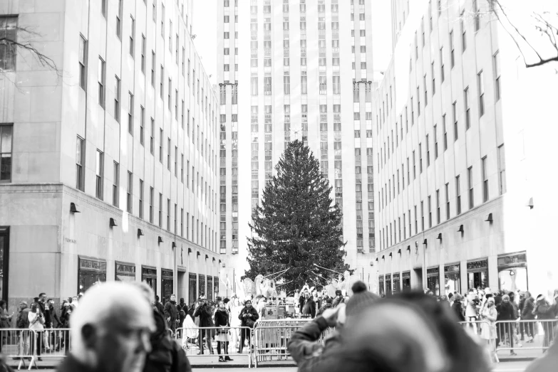 a large christmas tree is next to a crowd