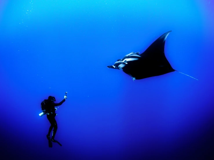 a person holding on to a black object under the blue water