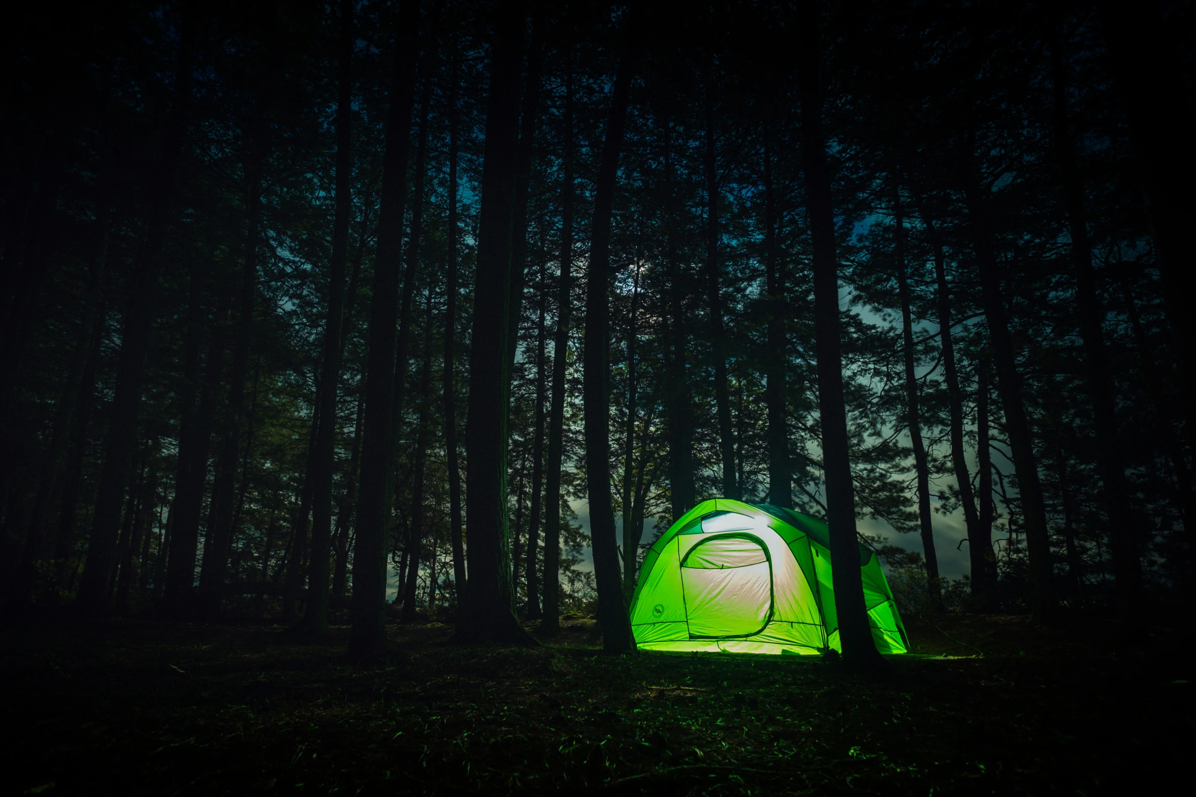 a tent glowing in the dark in a grove