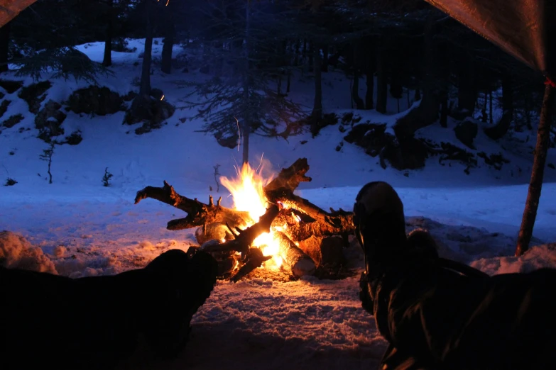 people sit around a fire pit in the winter