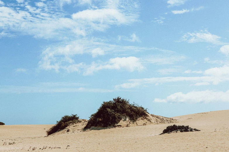 a giraffe laying down in the middle of a desert