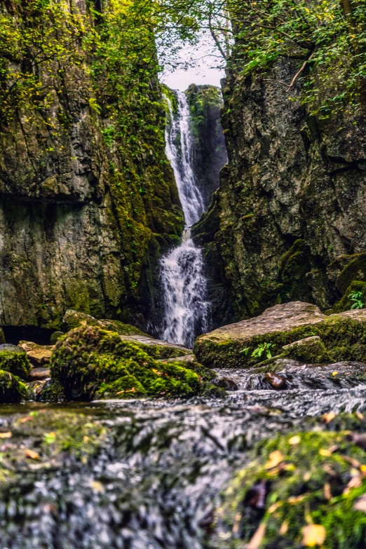 the rocks are covered with moss and rock slabs