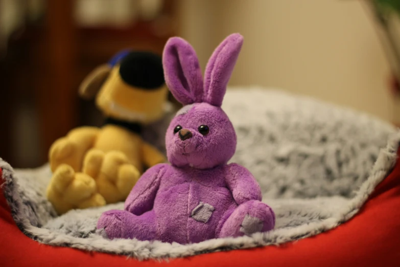 a purple teddy bear sitting in a bed