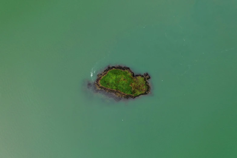 aerial view of island in water on ocean with vegetation