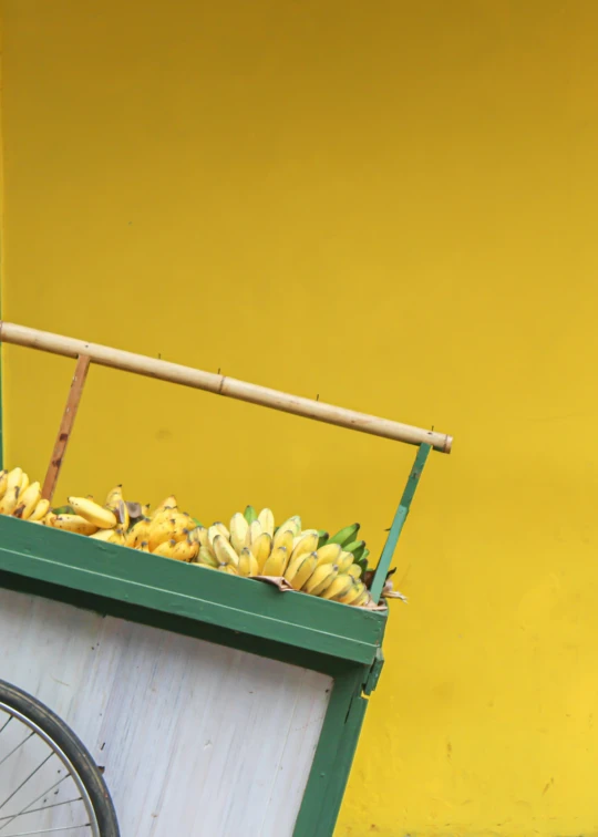 banana are sitting in a wooden cart outside