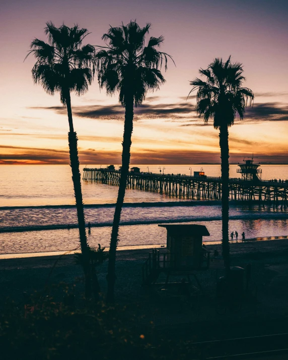 a number of trees near the ocean with a pier in the distance