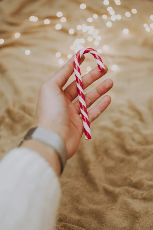 person holding up candy cane in front of a blurry backdrop