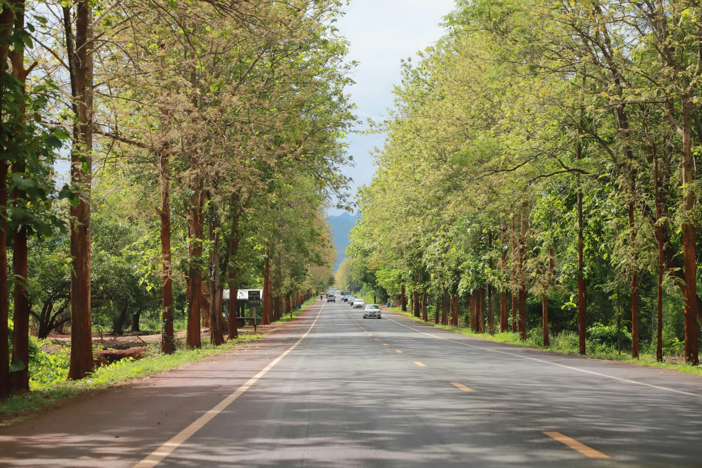 there are many trees lining the street, and people are going down the street