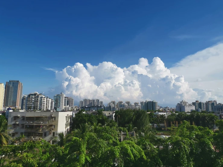 a view of the city and buildings as seen from a distance