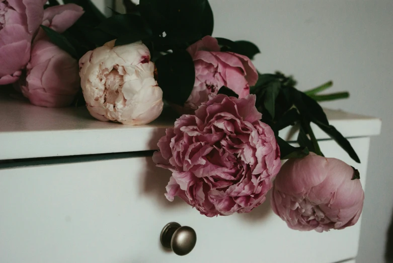 several pink flowers laying on top of a white cabinet