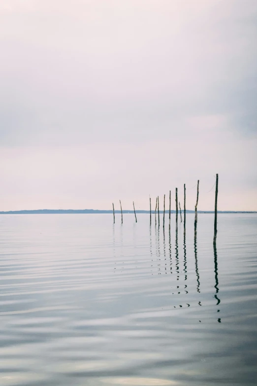some poles sticking out of the water
