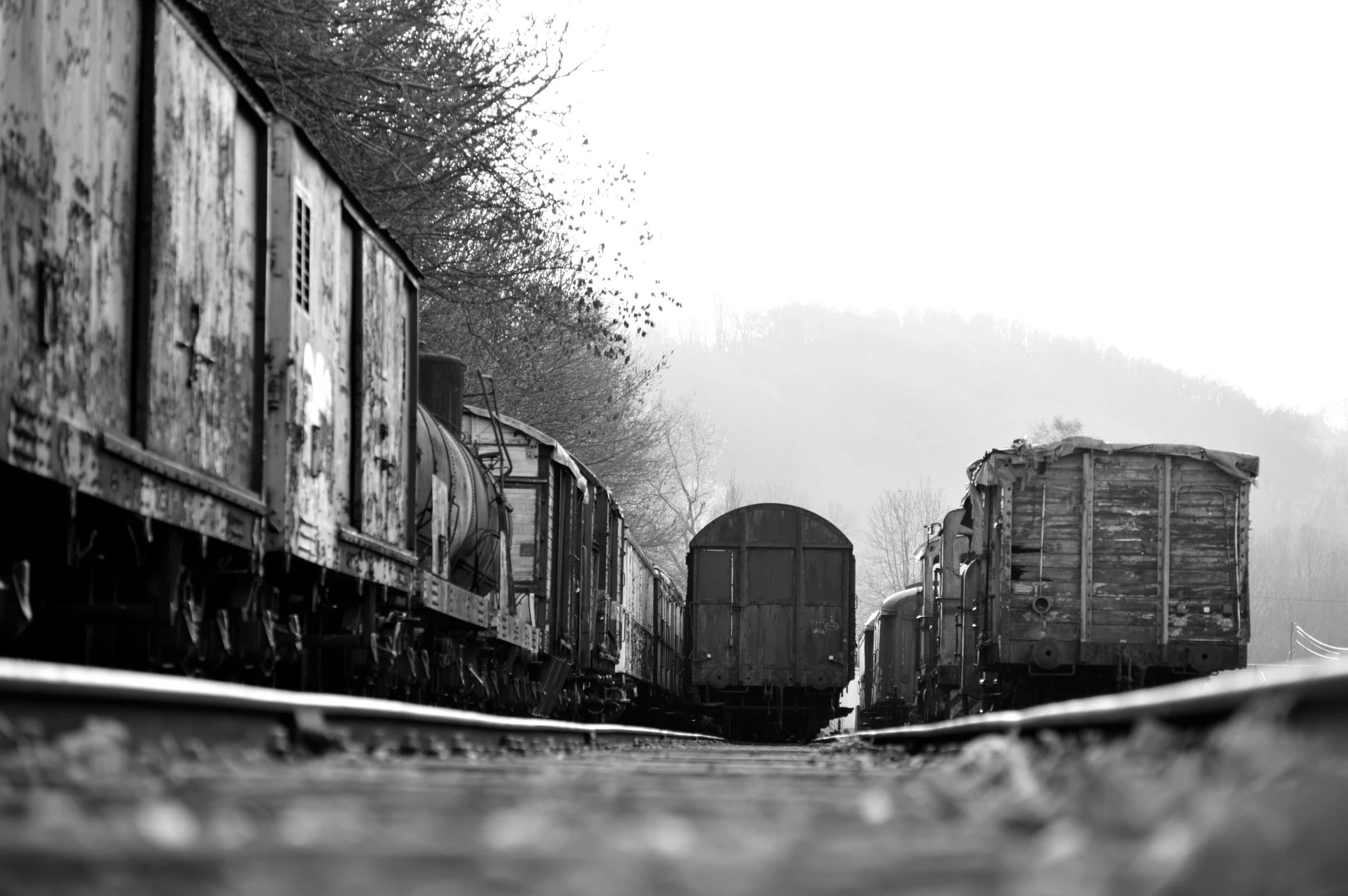 four train cars on a train track near trees