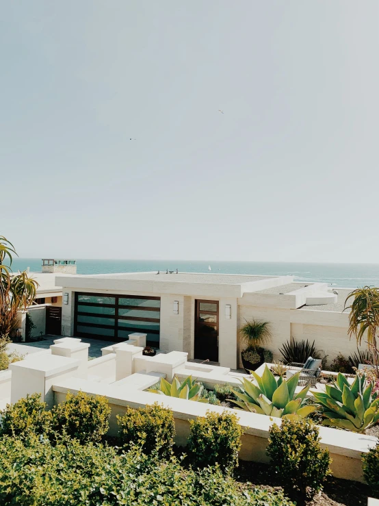 there are many plant life on this beach side house