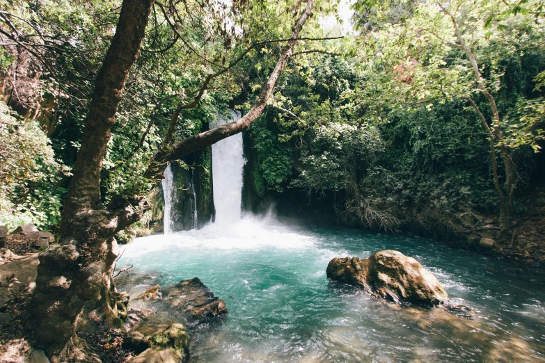 waterfall in the middle of a wooded area