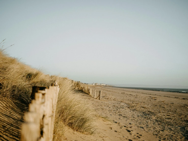 a person walking along a sandy beach next to grass