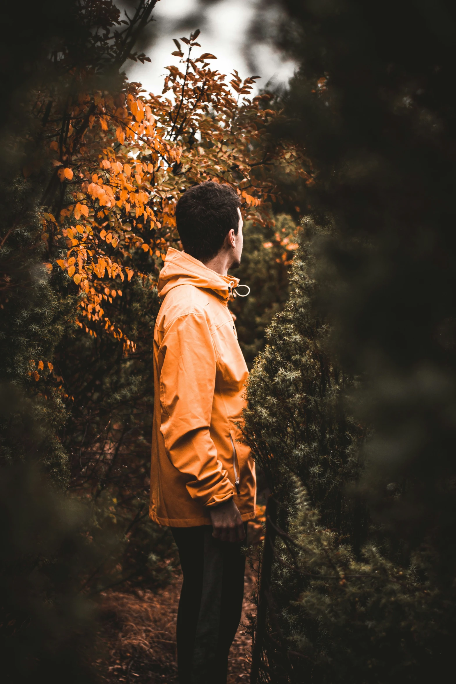 a person standing with a back turned and looking away