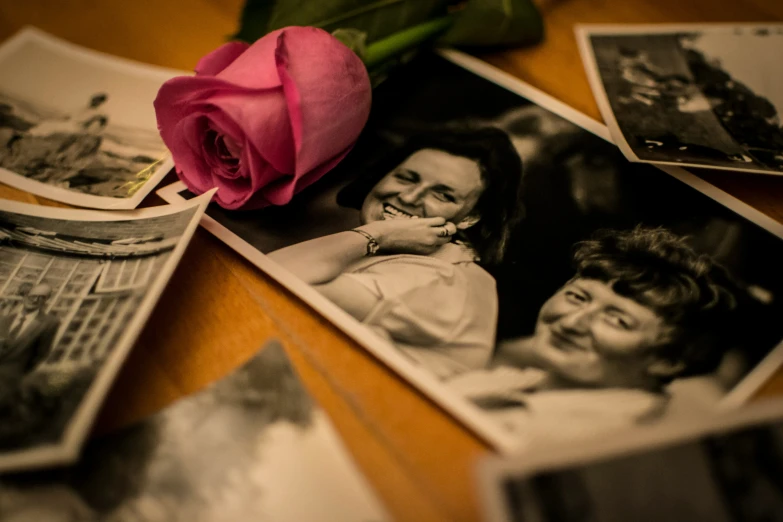 a pink rose rests upon the table near old pos of people