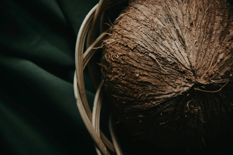 a brown coconut that has been peeled and is in some kind of basket