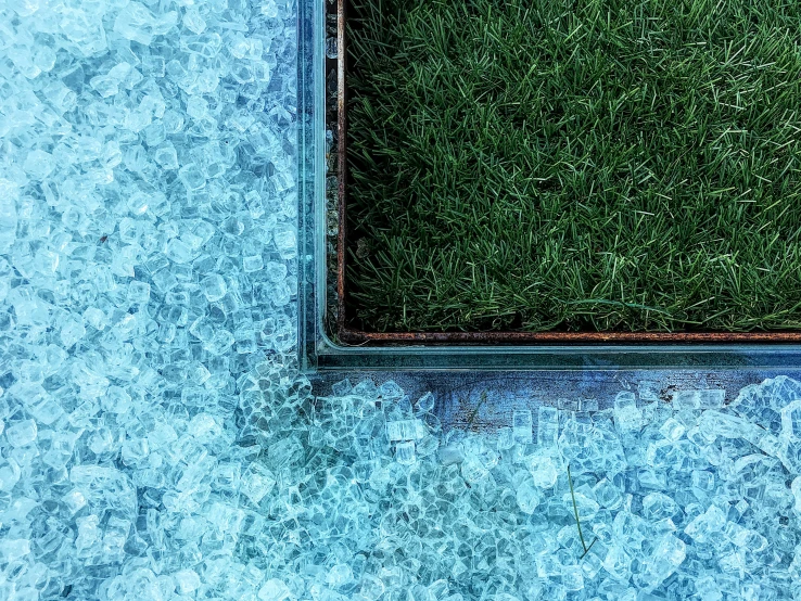 the top of a glass window with a plant growing out of it