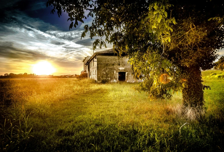 an image of a building that is near a tree