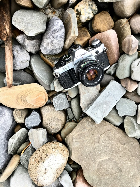 a camera laying on top of some rocks