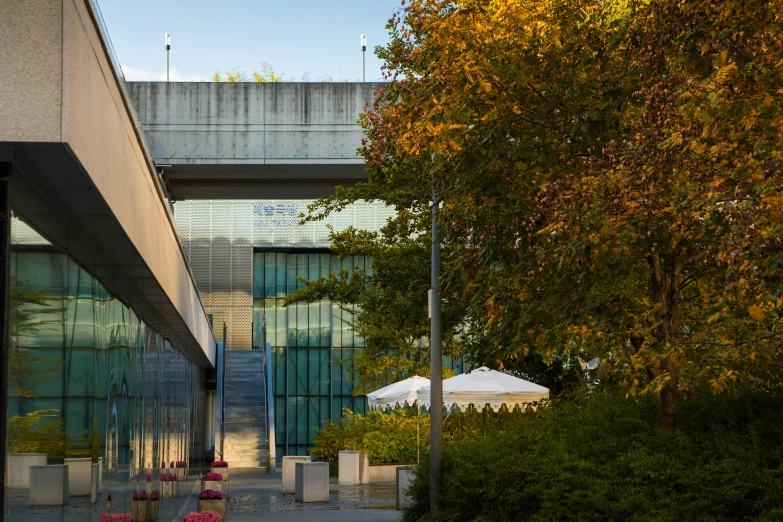 the courtyard is shaded by trees near an overpass