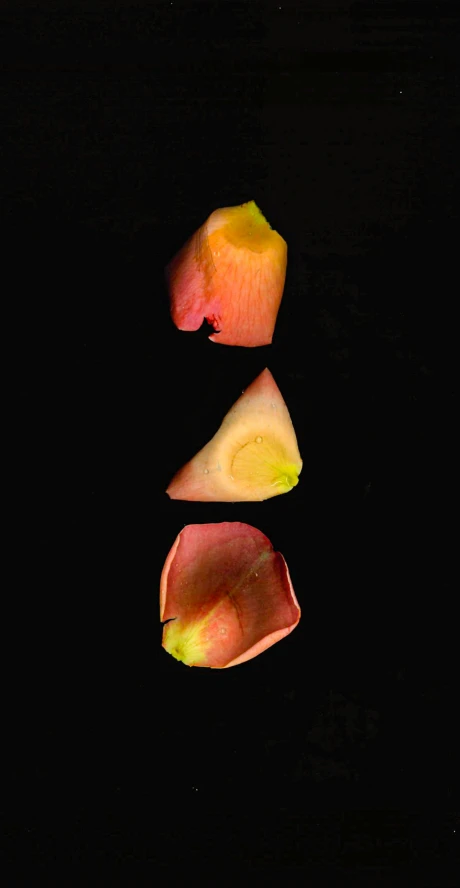 a pair of sliced apples in the dark with one cut open