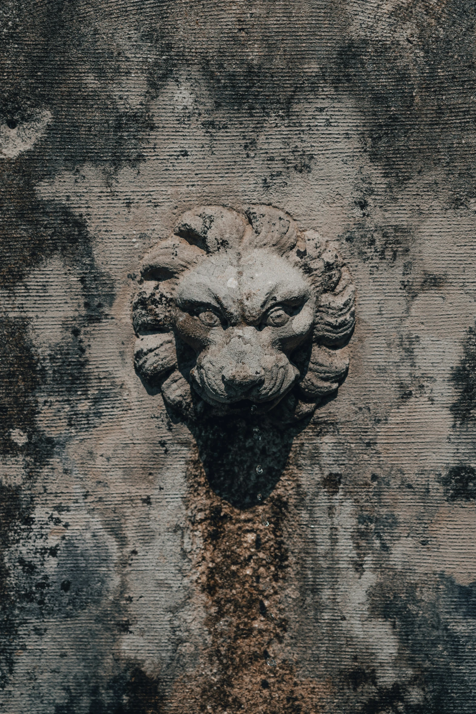 a stone head and an eye on the side of a wall