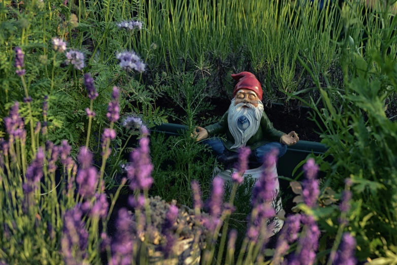 an image of a gnome sitting in a garden