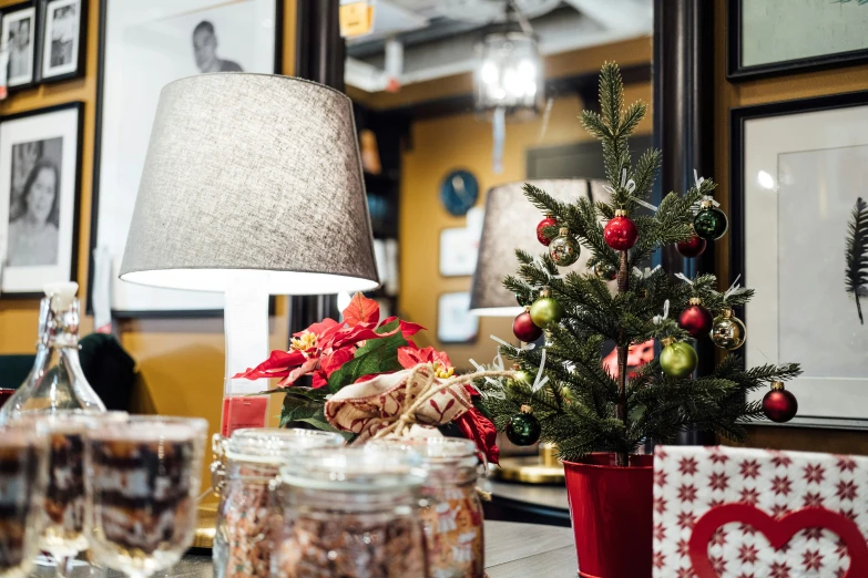 a small tree sitting on top of a counter