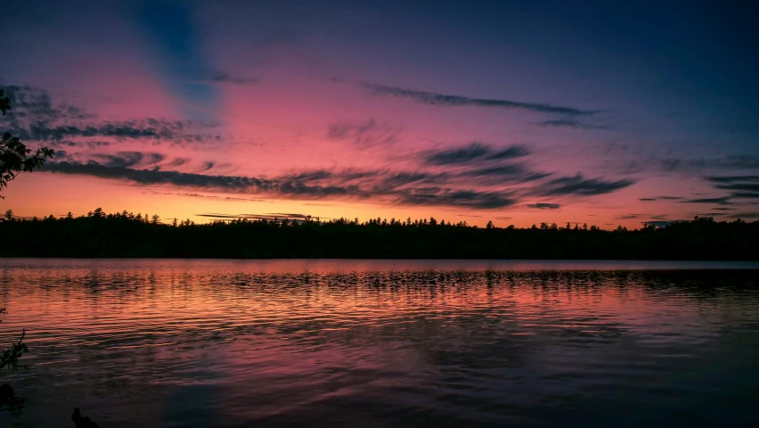 a body of water with trees on the shore at sunset