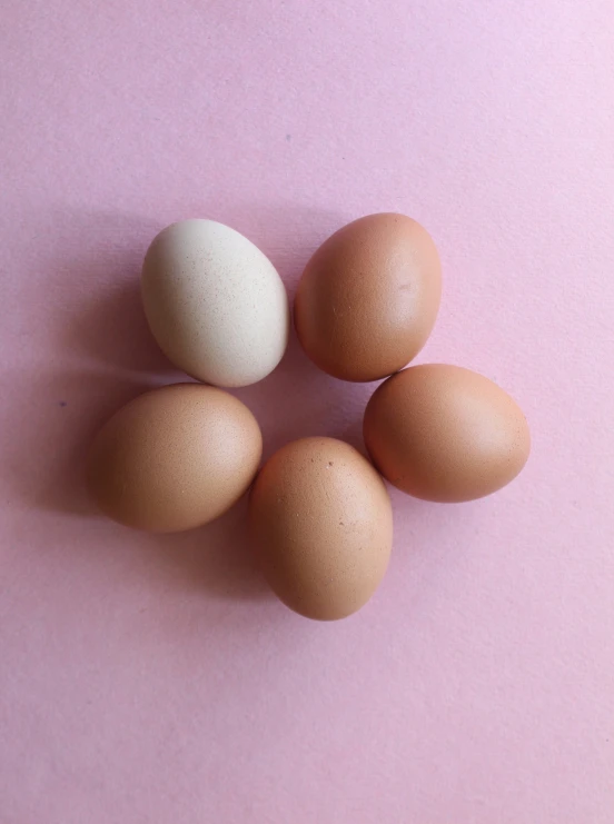 eggs with brown and white eggs in a circle on a pink background