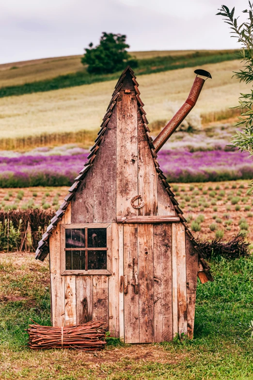 a wooden outhouse in the countryside with an odd shaped roof