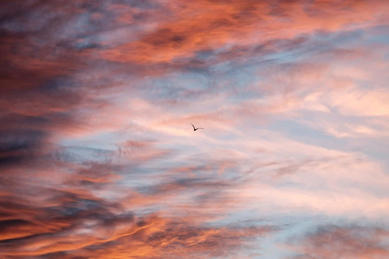 a plane in the sky as the sun goes down