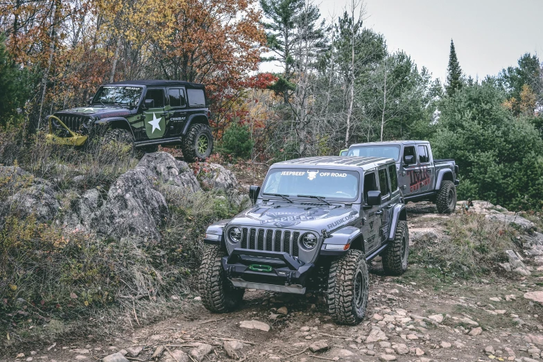 three jeeps parked in the woods and a few trees
