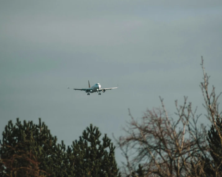 a small airplane flying above some trees