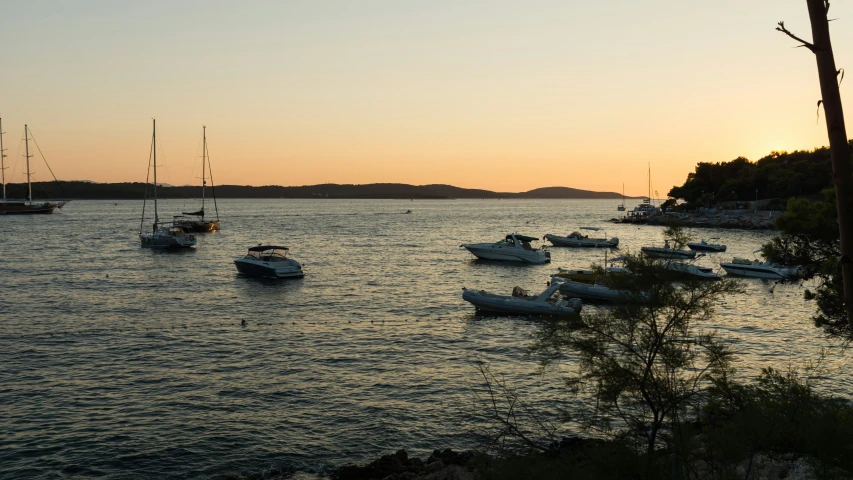 the boats are lined up by the shore