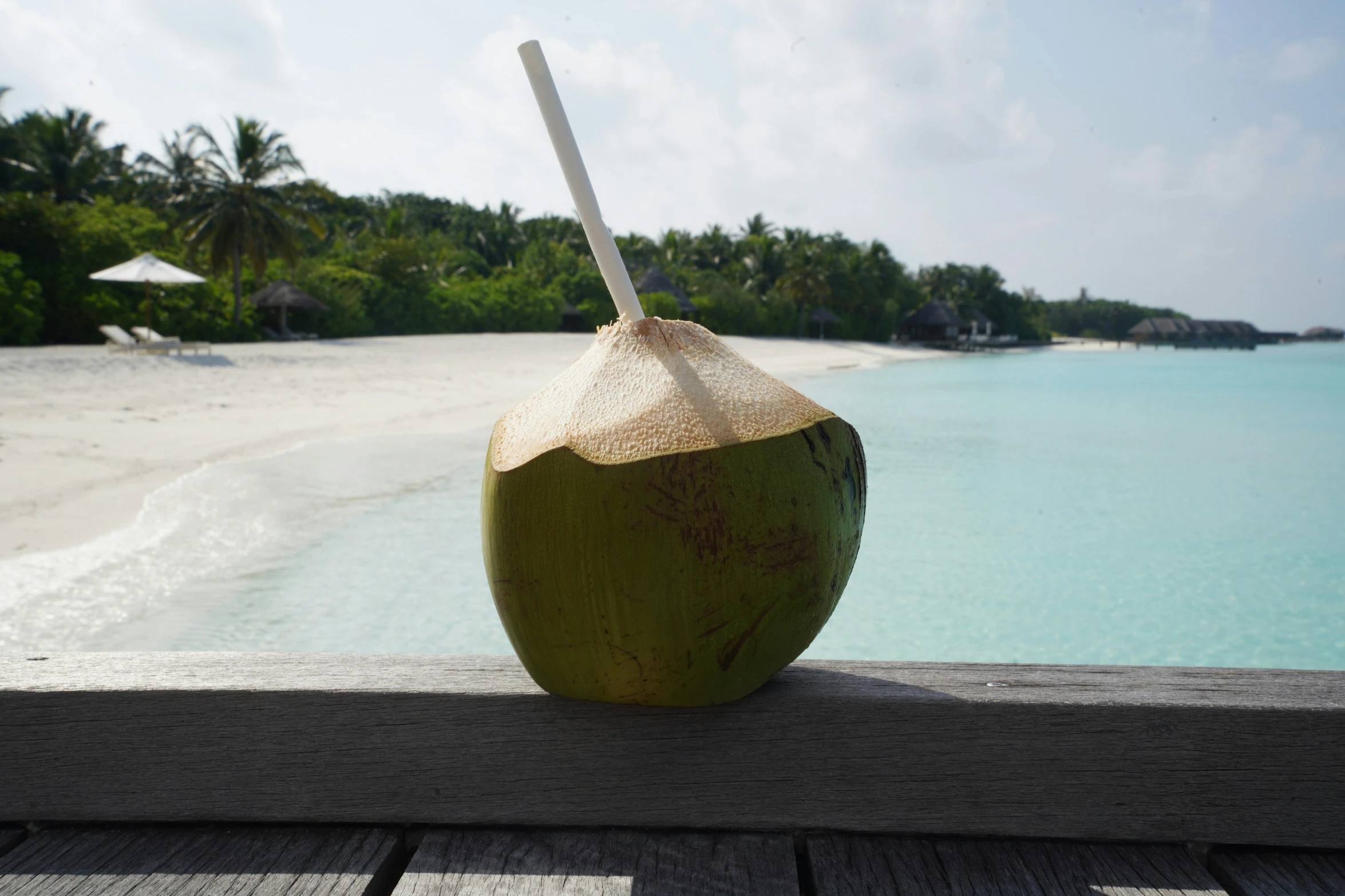 there is a large coconut with two straws in it