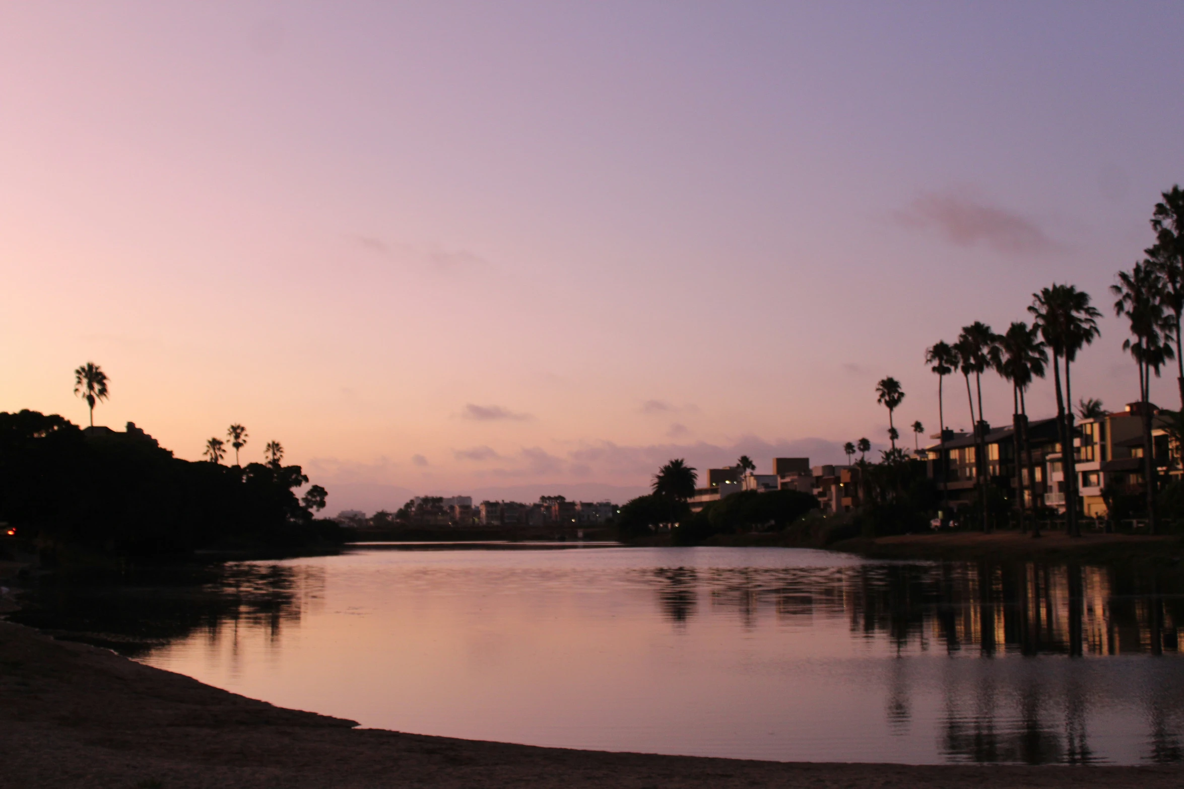 water with houses on the other side and palm trees at dusk