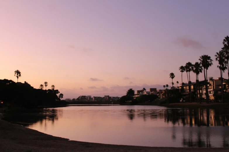 water with houses on the other side and palm trees at dusk