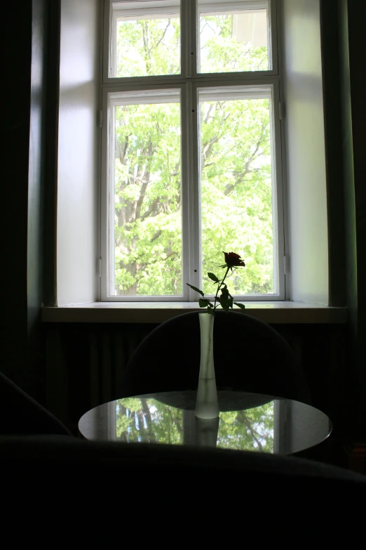 a small flower is sitting in a glass vase