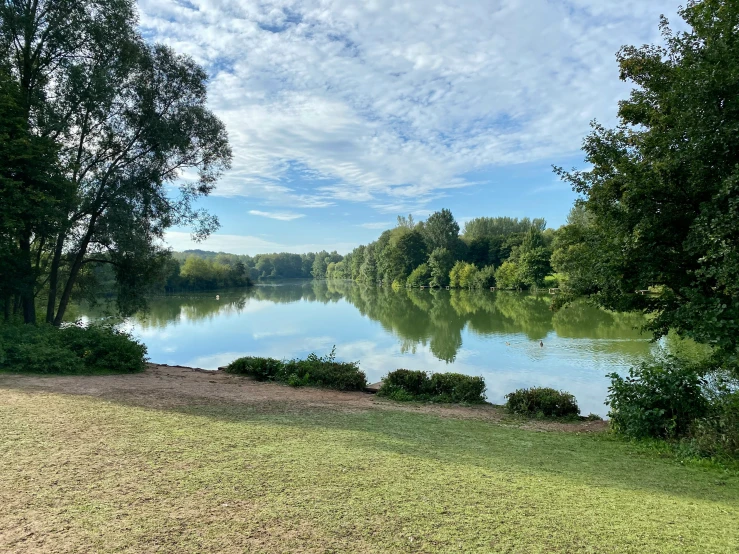 trees in the foreground are seen along a large lake