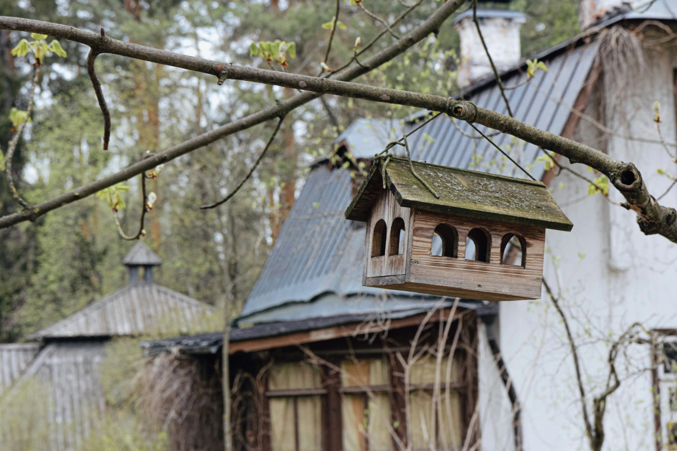the wooden birdhouse is perched on the tree limb