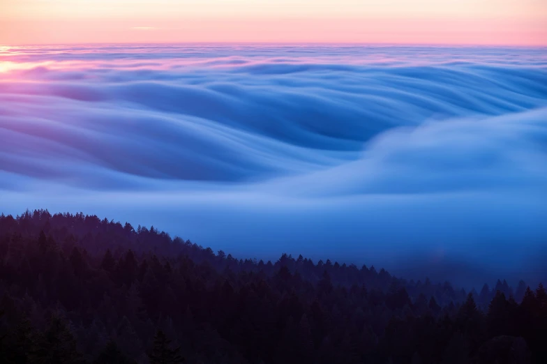 large and long thin cloud covered forest at sunset