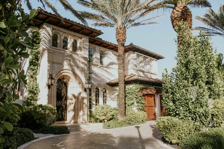 a palm tree in front of a house and a car parked in front