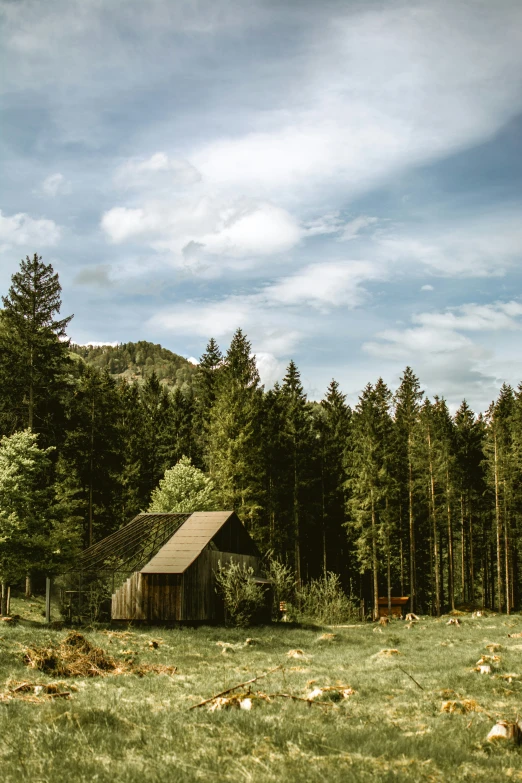 an old cabin sitting in the middle of a field near a forest