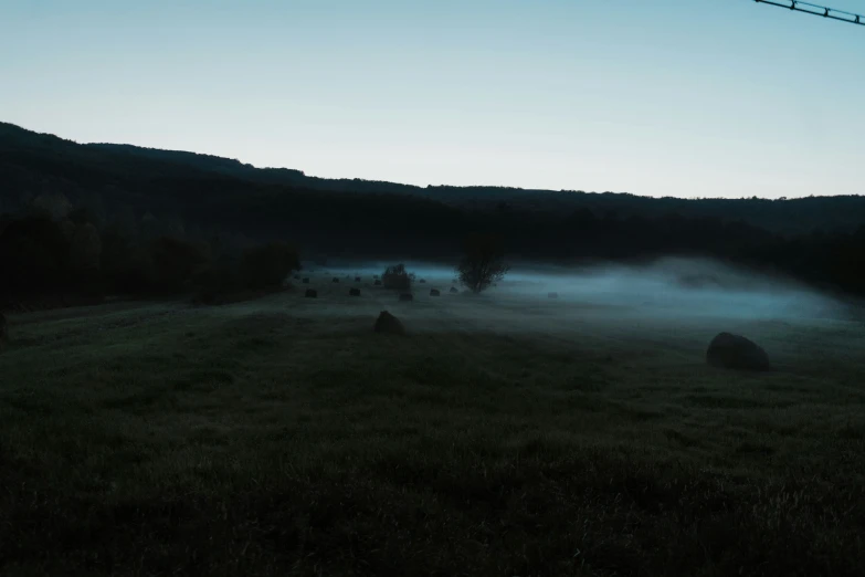 several animals grazing in a field with hills and trees