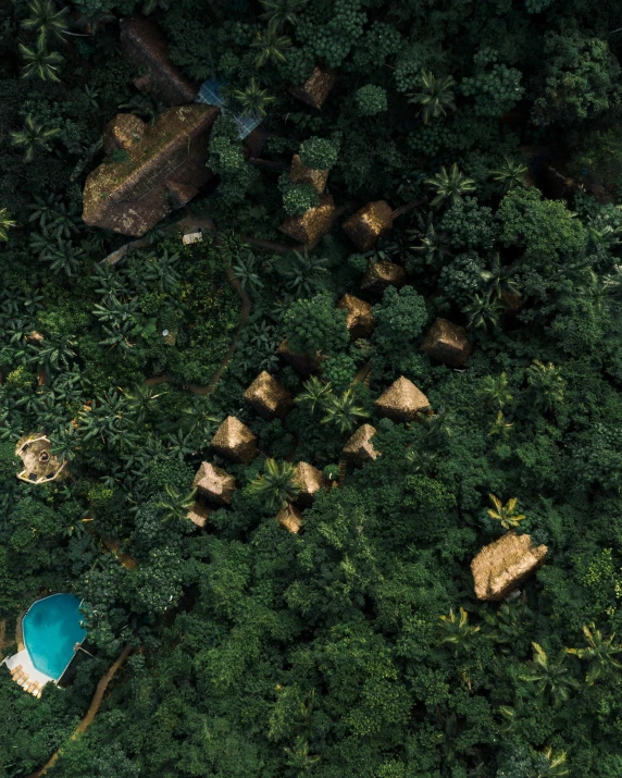 the aerial view of a tree covered forest with blue umbrellas